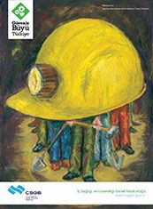 Koruma 50X70 CM 3MM DEKOTA LEVHA