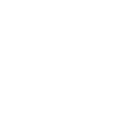 Kulak